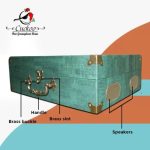 Cuckoo 3 Speed Record Player