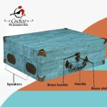 Cuckoo Blue Vinyl Record Player