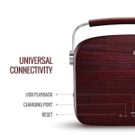 Saregama Carvaan Hindi Player