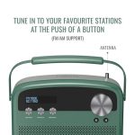 Saregama Carvaan Lite Hindi Best Price