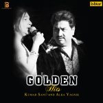 Kumar Sanu & Alka Yagnik - Golden Hits – BLISS2403 - New Release Hindi LP Vinyl Record