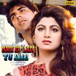 Main Khiladi Tu Anari - VCF 2895 - New Release Hindi LP Vinyl Record