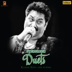 Kumar Sanu & Other - Evergreen Duets - BLISS2404 - New Release Hindi LP Vinyl Record