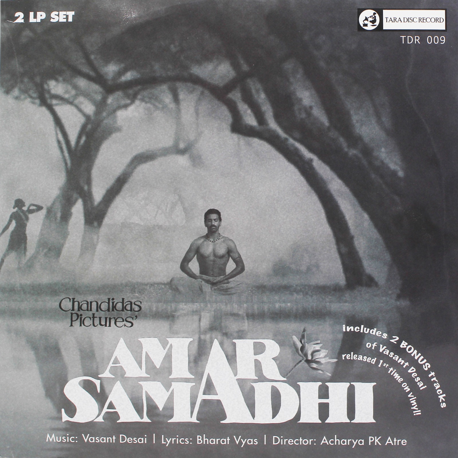 Amar-Samadhi-–-TDR-009-1.jpeg Amar Samadhi – TDR 009 - New Release Hindi - 2LP Set - Image 1