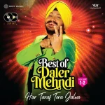 Best of Daler Mehndi Vol. 1&2 - VS34SONY0048 - 2LP Set - New Release LP Vinyl Record