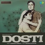 Dosti - 8907011114882 - New Release Hindi LP Vinyl