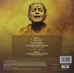 M.S. Subbulakshmi - Bhaja Govindam Vishnu Sahasranamam - 8902057490105 - New Release Hindi LP Vinyl - Image 2