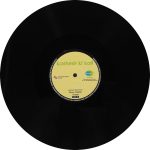 Kashmir Ki Kali - 8907011100892 - (90-95%) - New Release Hindi LP Vinyl Record - Image 4