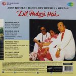 Dil Padosi Hai – 8907011101578 - New Release Hindi 2LP Set - Image 2