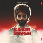 Kabir Singh - SFLP 41 - Red Coloured - New Release Hindi LP Vinyl Record