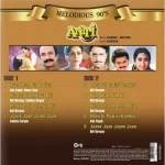 Anari - 8907011119276 - New Release Hindi LP Vinyl Record - Image 2