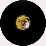 Dil Ka Kya Kasoor - 8907011119290 - New Release Hindi LP Vinyl Record - Image 2