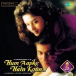Hum Aapke Hain Koun - S6710S00068 - New Release Hindi - 2LP Set
