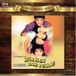 Hum Hain Rahi Pyar Ke – 8907011113472 – New Release Hindi LP Vinyl