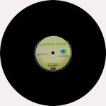 Kashmir Ki Kali - 8907011100892 - New Release Hindi LP Vinyl Record - Image 3