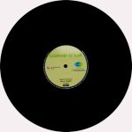 Kashmir Ki Kali - 8907011100892 - New Release Hindi LP Vinyl Record - Image 4