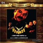 Parinda – S971TIPS016 – New Release Hindi LP Vinyl LP Record