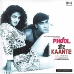 Phool Aur Kaante - 8907011119344 - New Release Hindi LP Vinyl Record