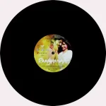 Raanjhanaa - 8907011102117 – LP Record - Image 3