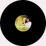 Raanjhanaa - 8907011102117 – LP Record - Image 4