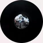 Tere Naam - SFLP 25 - New Release Hindi LP Vinyl Record - Image 3
